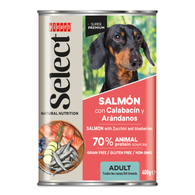 z lososom za odrasle pse