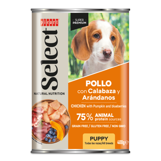 s piščancem za mladiče