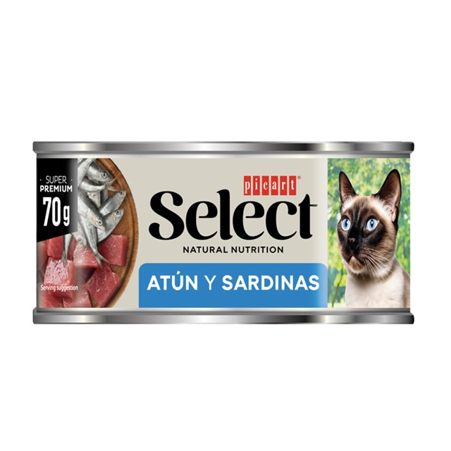 tuna in sardine