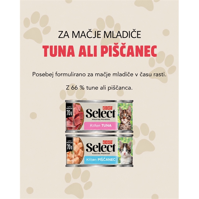 tuna ali piščanec