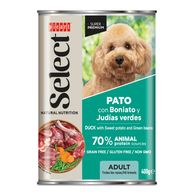 z raco za odrasle pse