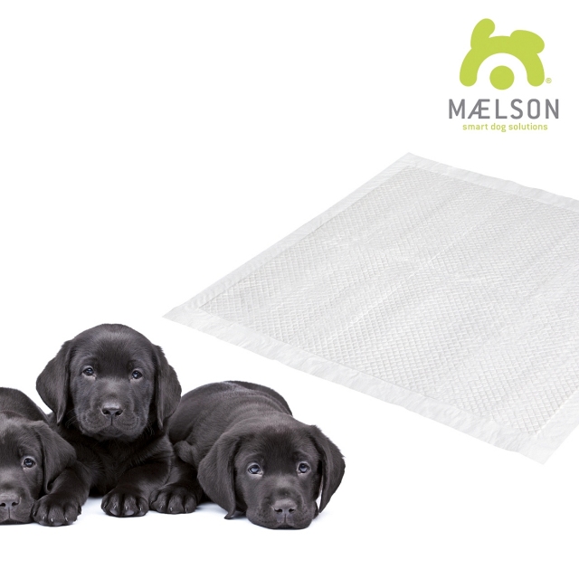 Maelson Doggie Pad™