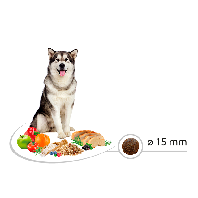 dog pica supplements dog pica supplements