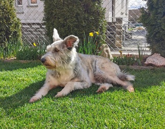 Luna